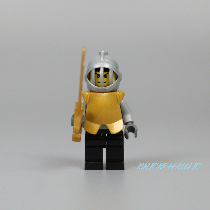 Lego Hero Knight 2, 8813 Knights Kingdom II Castle Minifigure