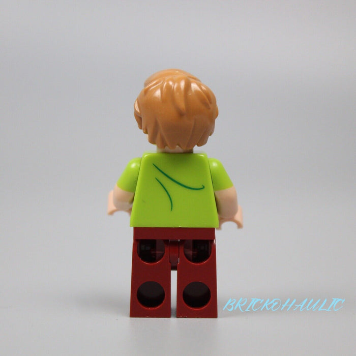 Lego Shaggy Rogers 75900 75901 71206 Closed Mouth Scooby-Doo Minifigure