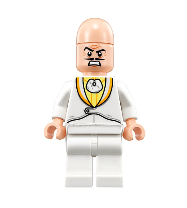 Lego Egghead 70920 Batman Movie Super Heroes Minifigure