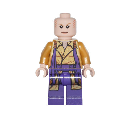 Lego The Ancient One 76060 Doctor Strange Super Heroes Minifigure