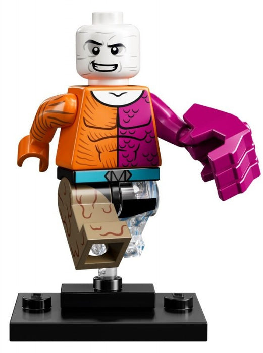 Lego Metamorpho 71026 DC Super Heroes Series Minifigures