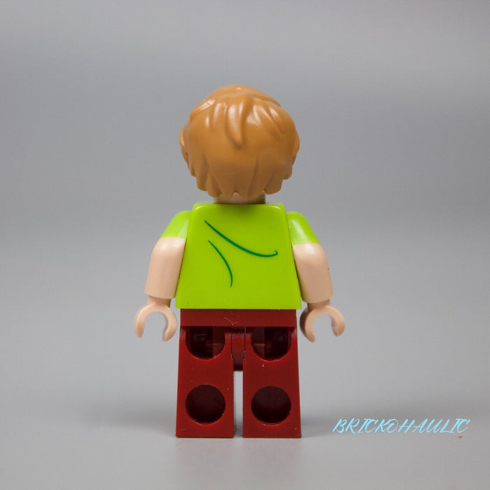 Lego Shaggy Rogers - Open Mouth Grin 75904 75902 Scooby-Doo Minifigure